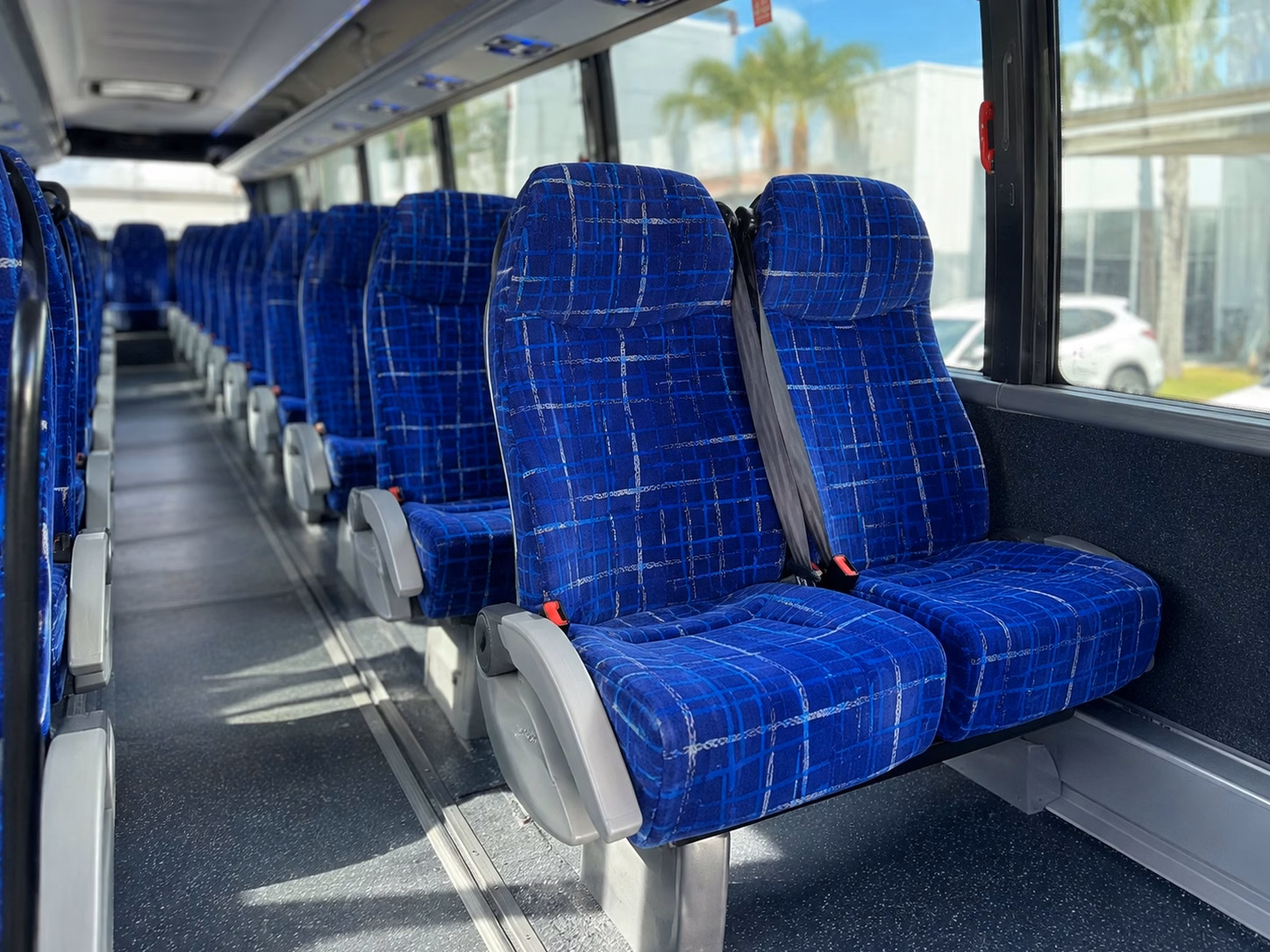 tucson sugar skulls and indoor sports fan transportation